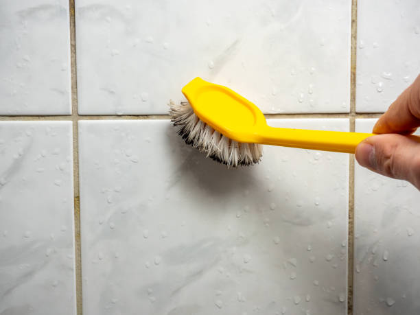 Best Affordable Mold Removal  in Belle Chasse, LA