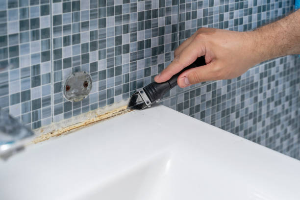 Best Office Mold Removal Services  in Belle Chasse, LA