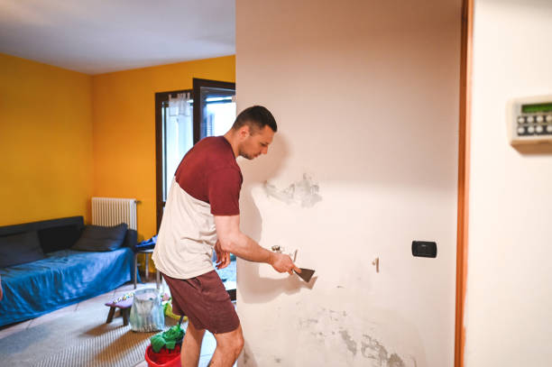 Best Mold Testing  in Belle Chasse, LA