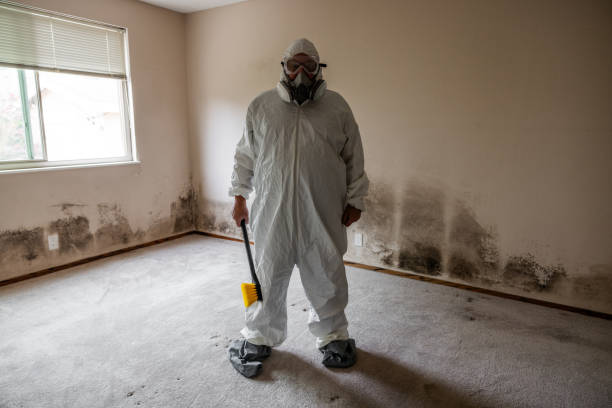 Best Crawl Space Mold Removal  in Belle Chasse, LA
